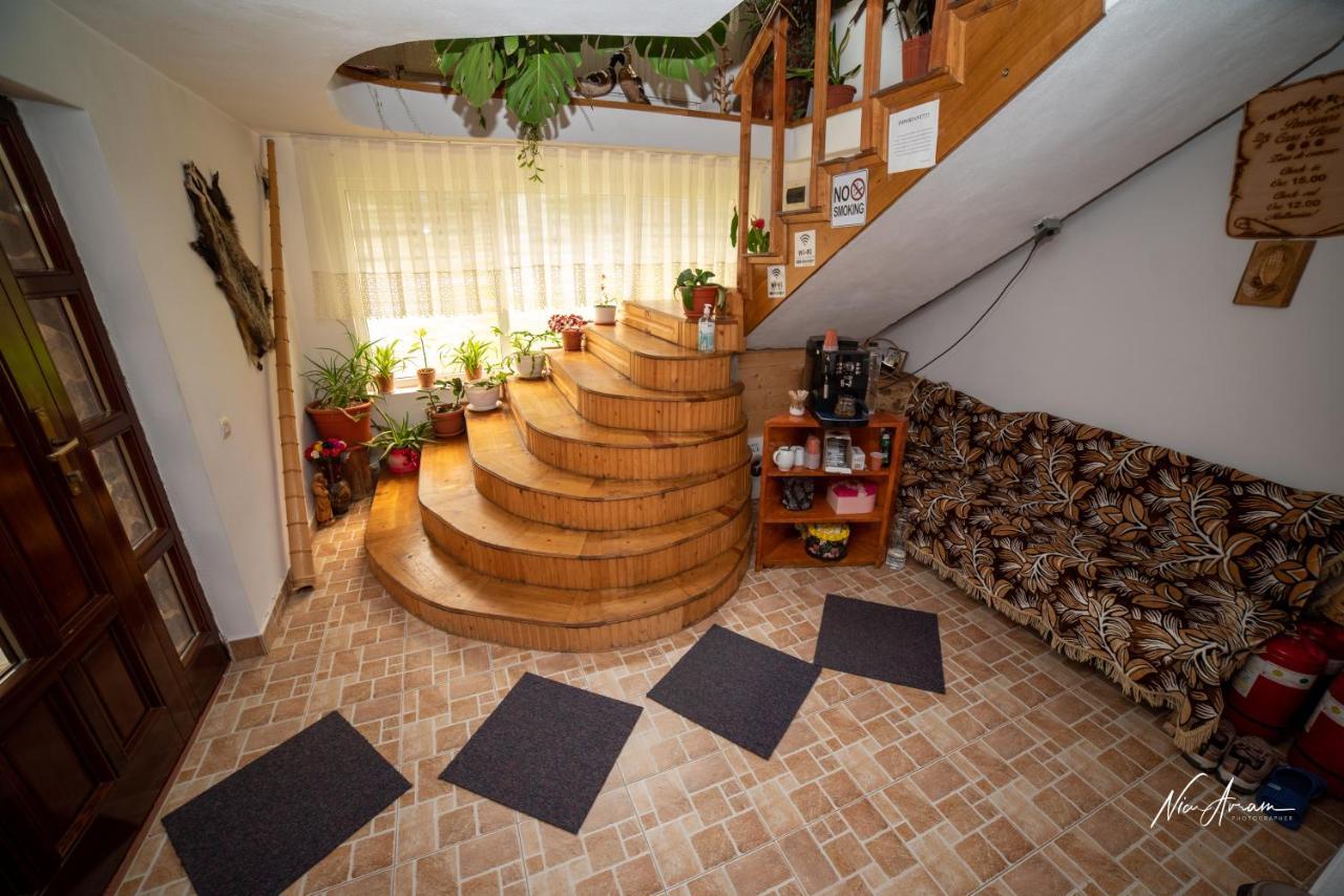 Casa Binu Hotel Arieseni Bagian luar foto